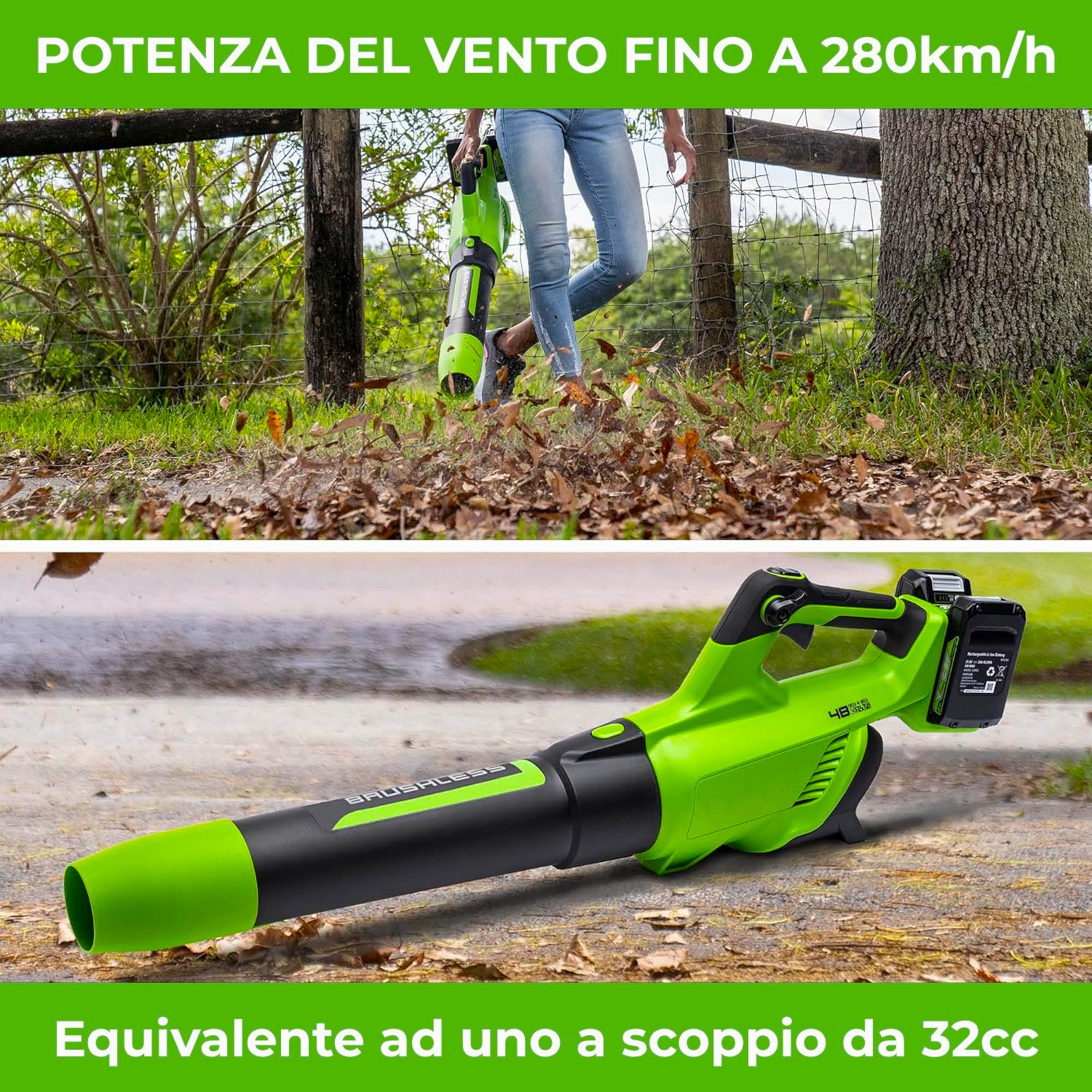 soffiafoglie_detail